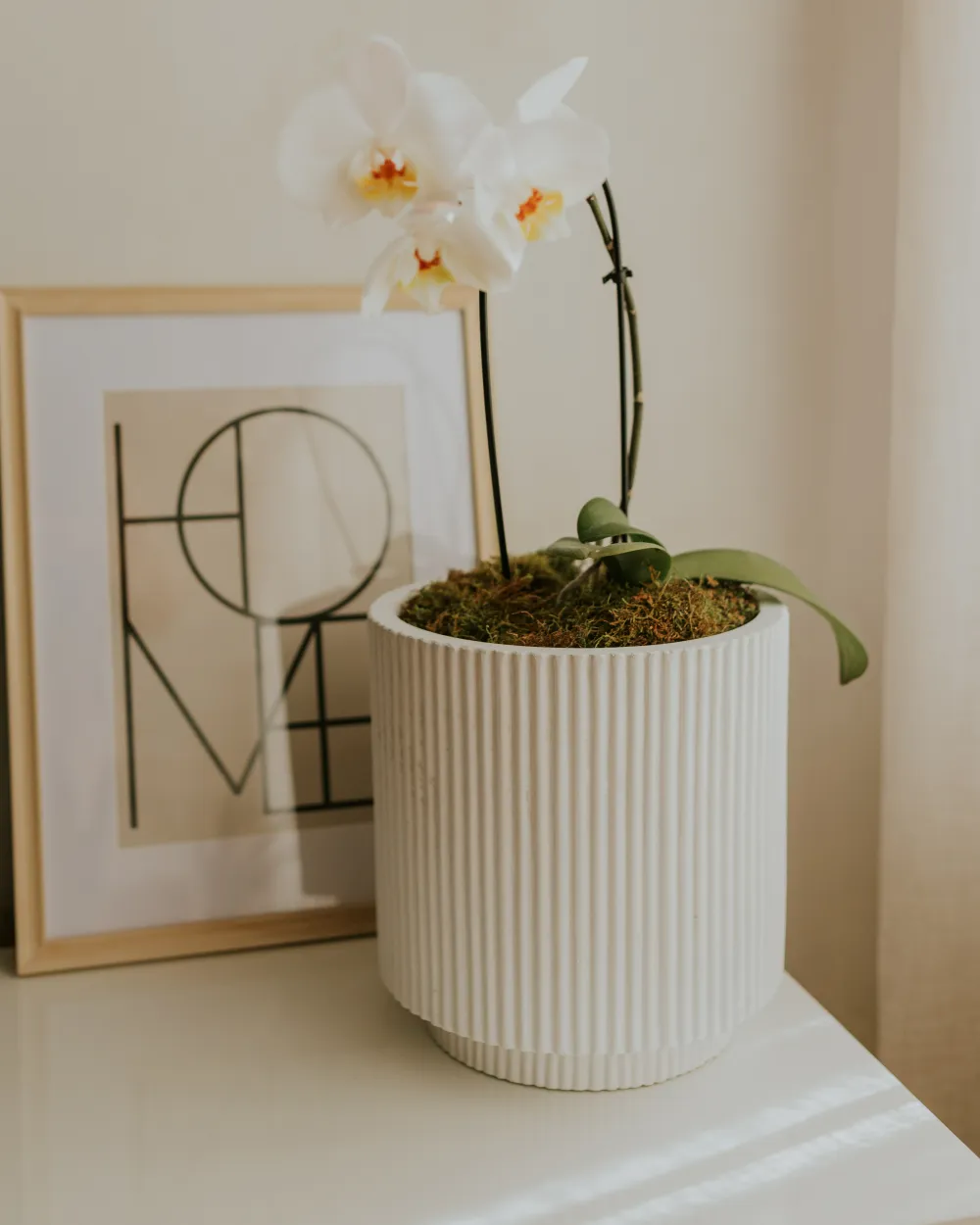 Blumenkübel DARIA 30 cm Cremeweiß