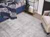 Viskózový koberec 200 x 300 cm světle šedý GESI II_863773