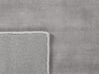 Viskózový koberec 200 x 300 cm světle šedý GESI II_793525