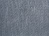 Conjunto de 2 cojines de algodón/poliéster gris 45 x 45 cm LUPINE_769297