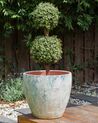 Terracotta Plant Pot ⌀ 51 cm Green NERTERA_930837