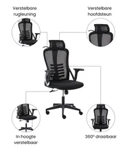 Bureaustoel ERGONOX Zwart_1071050