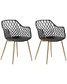 Set of 2 Dining Chairs NASHUA Black