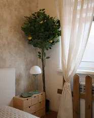 Artificial Plant LEMON TREE 156 cm Green_973155