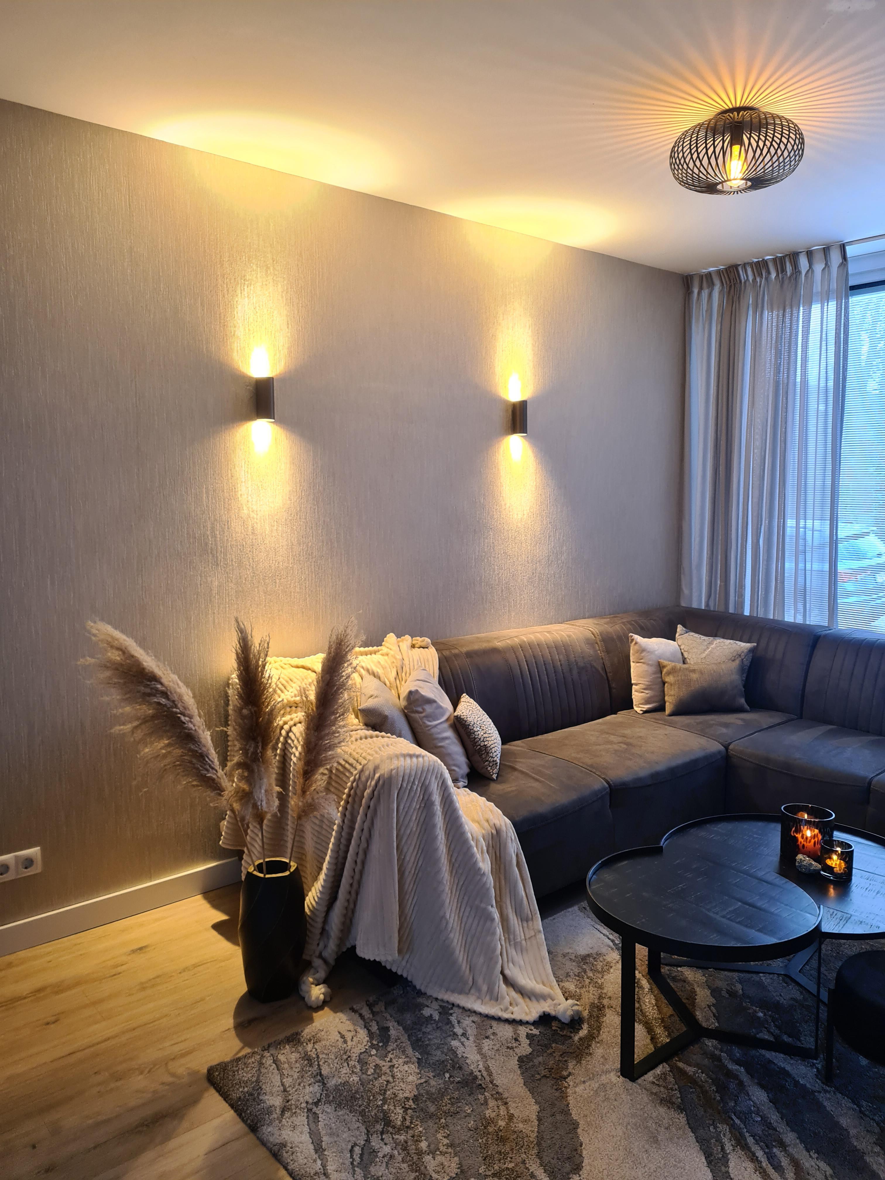 undef_src_sa_picid_820586_type_whitesh_image.webp?ver=7
