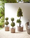 Set of 3 Wicker Planters PENDULA 33/37/45 cm PE Rattan Natural