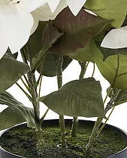 Pianta artificiale CHRISTMAS FLOWER 61 cm Bianco_1174962