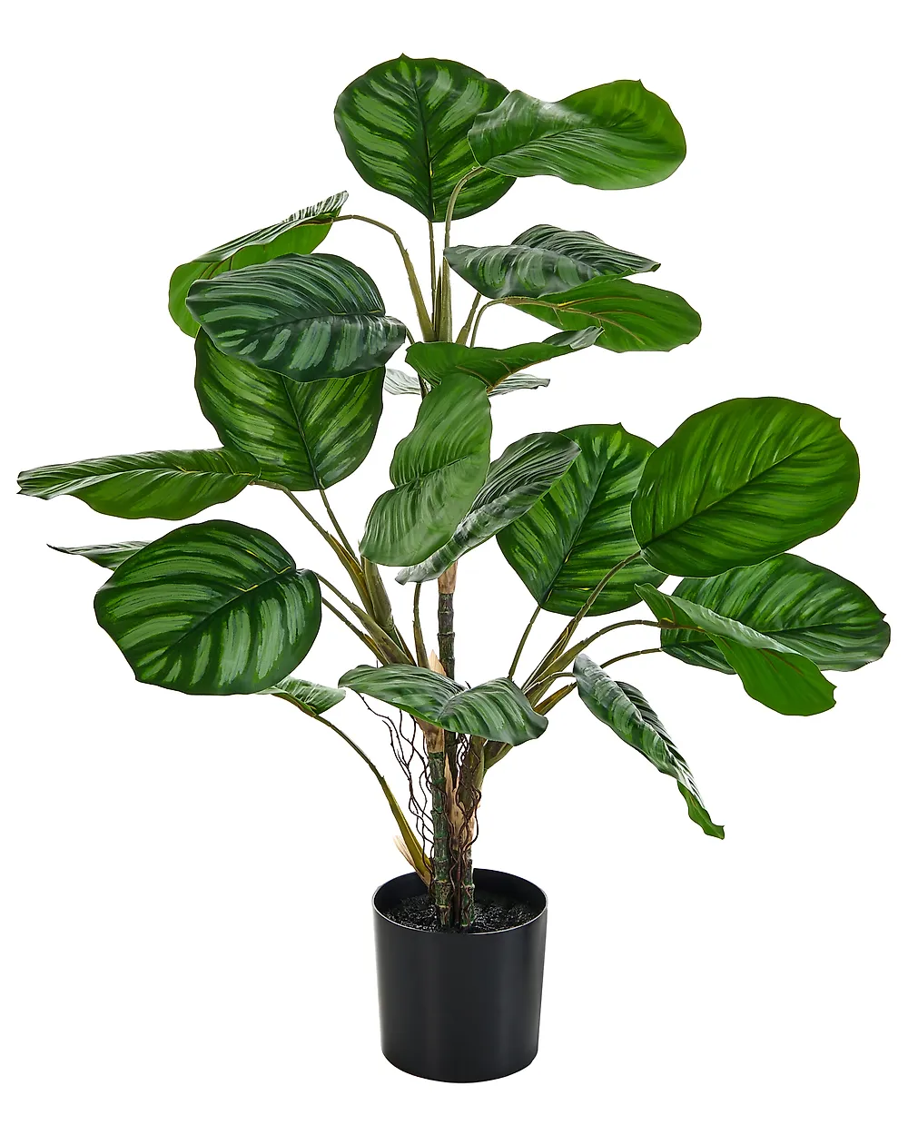 Plante artificielle CALATHEA 78 cm Vert