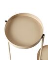 Blomkruka med växtställ metal beige FRAGARIA_933809