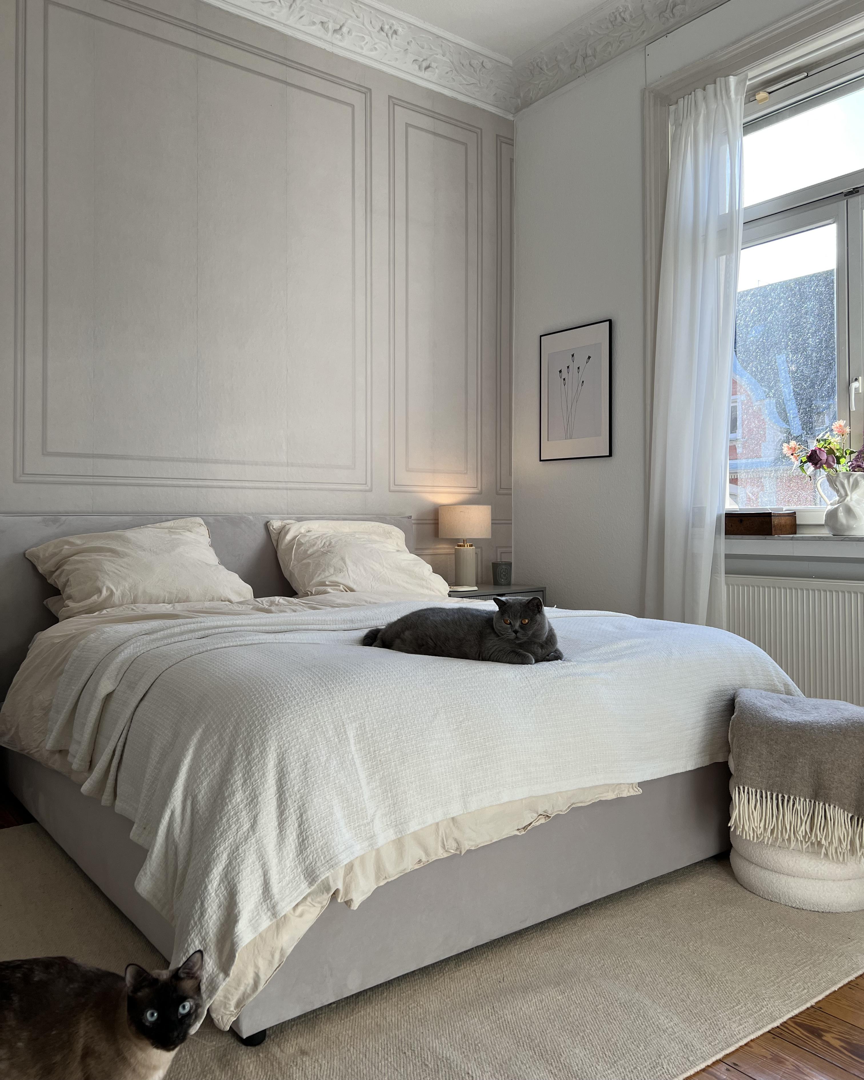 Bett mit Stauraum LAVAUR Samtstoff Cremeweiß 160 x 200 cm_955894