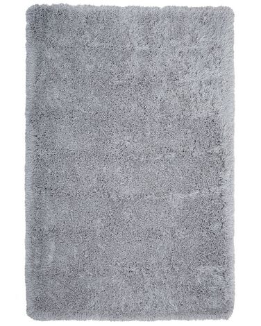 Világosszürke hosszú szálú szőnyeg 140 x 200 cm CIDE