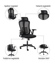 Scaun ergonomic ERGONOX Negru_1071050