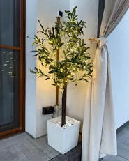 Outdoor Decoration LED CELIONI 120 cm Tree Green_1071728