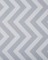 Vloerkleed polyester wit/grijs 80 x 300 cm SAIKHEDA_831443