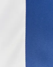 Ombrellone da esterno 245 cm MINOA Bianco/Blu_932191