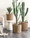 Set of 3 Wicker Planters PENDULA 33/37/45 cm PE Rattan Natural