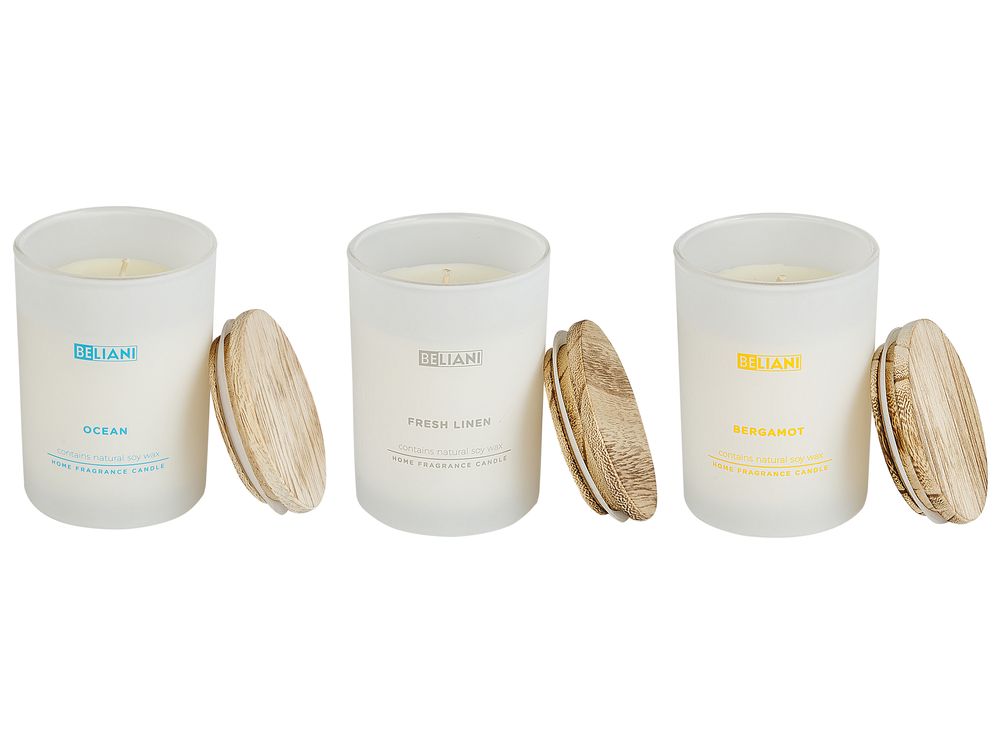Lot de 3 bougies parfumées SIMPLICITY Cire de soja Notes fruitées Notes de fraîcheur