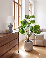 Plante artificielle CALATHEA 78 cm Vert_1185239