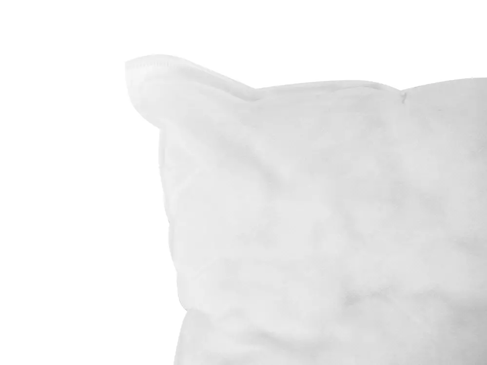 Set of 2 Cushion Inserts ECHIUM 45 x 45 cm White_1044173