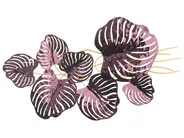 Dekoracja ścienna Liść HOLMIUM Metal 50 cm Purpurowy_1007490