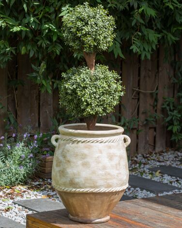 Terracotta Plant Pot ⌀ 37 cm Beige CAREX