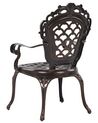 Set of 2 Garden Chairs Brown LIZZANO_765549