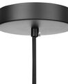 Oval Pendant Lamp Silver REINE_756199