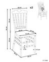 Matstol set om 2 transparent MENDON_929350