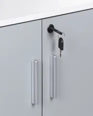 Armadietto da ufficio ZEHNA Grigio chiaro_885519