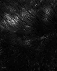 Faux Fur Rug MUNGO Black 63 x 95 cm_710835