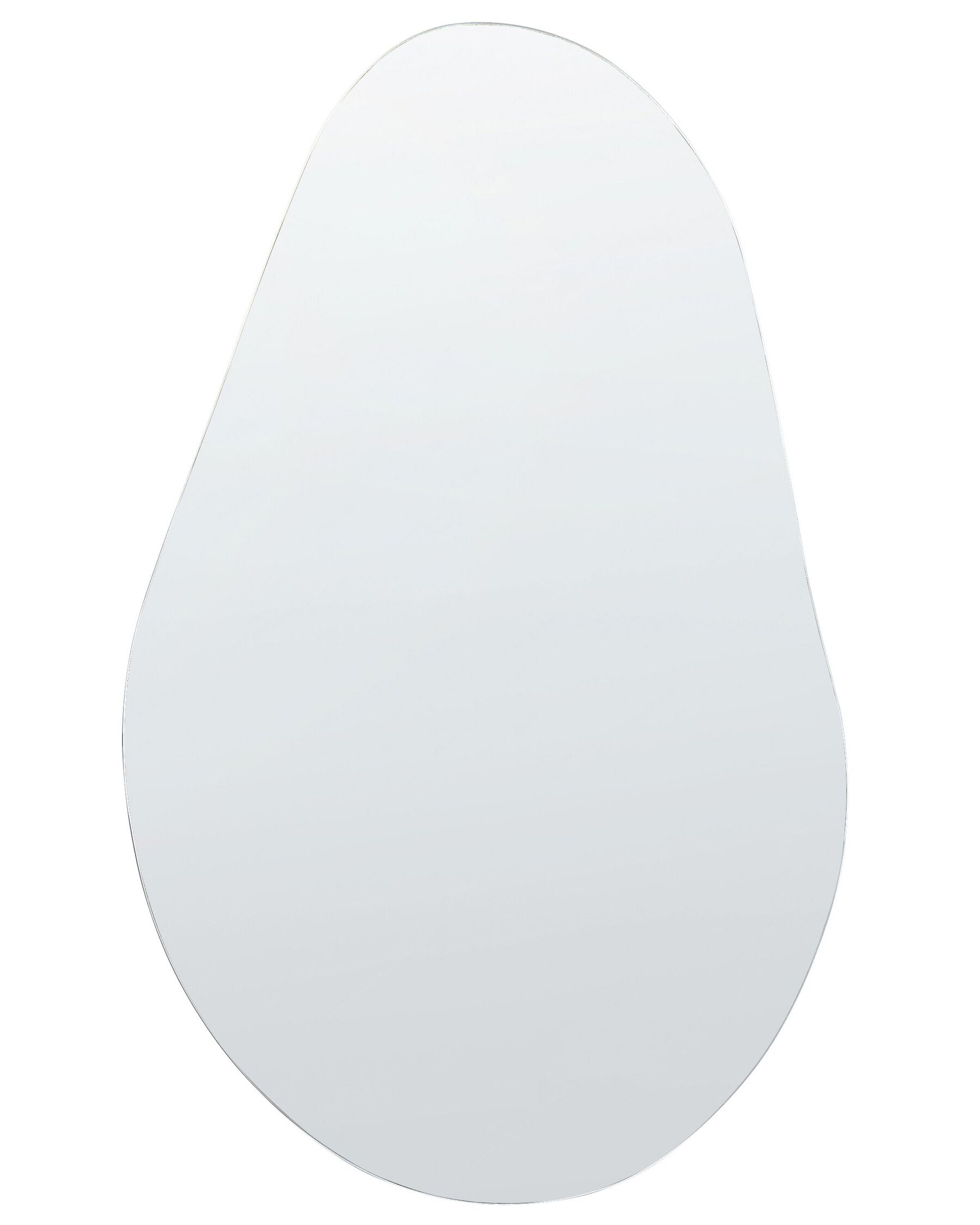 Wall Mirror 40 x 65 cm Silver AUBAGNE _852608