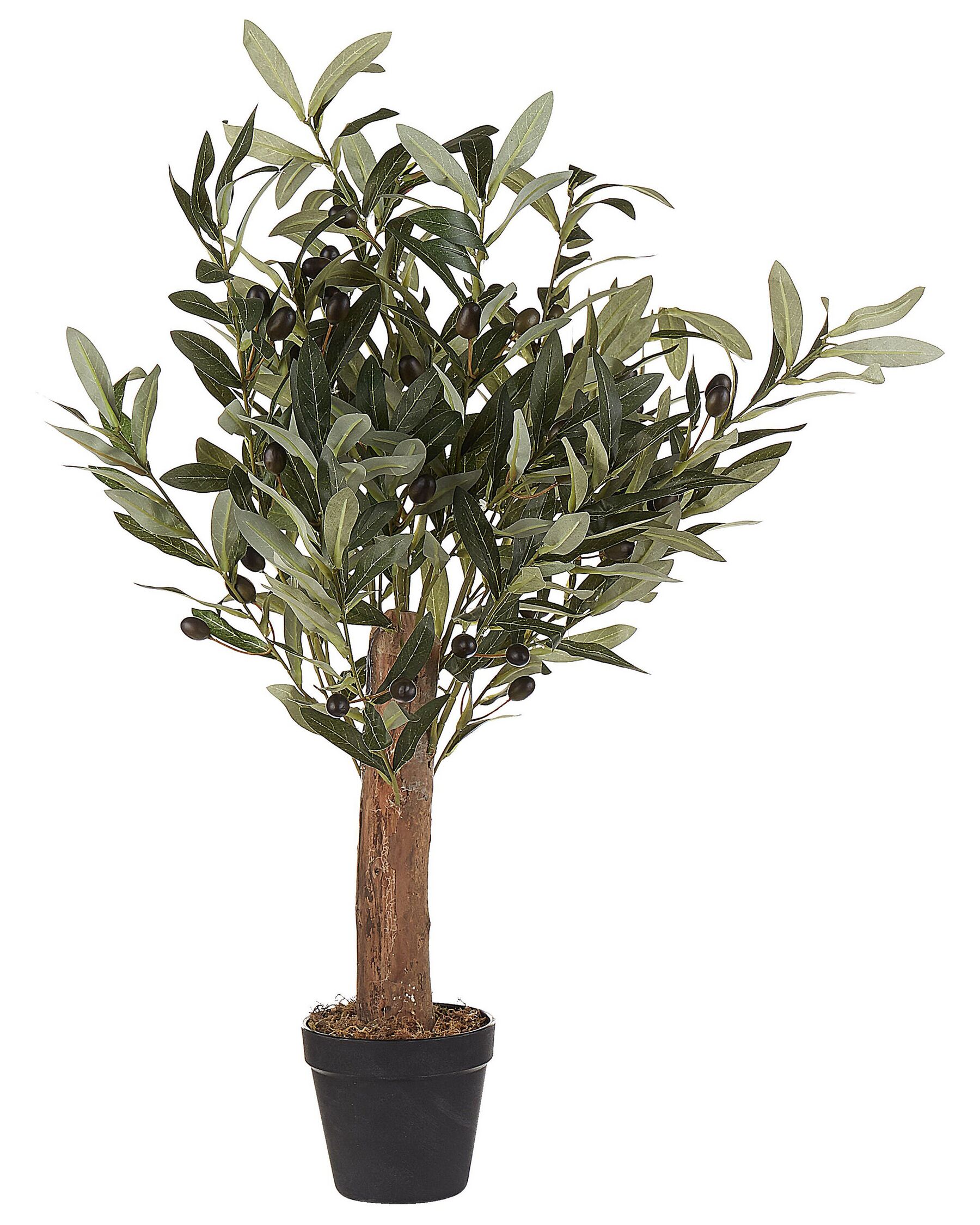 Konstgjord krukväxt 77 cm OLIVE TREE_812298