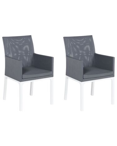 Sada dvou šedých židlí BACOLI