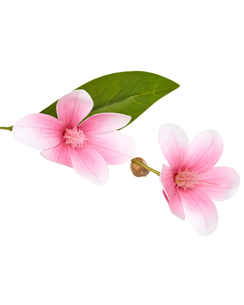 Artificial Plant MAGNOLIA TREE 128 cm Green_1069918