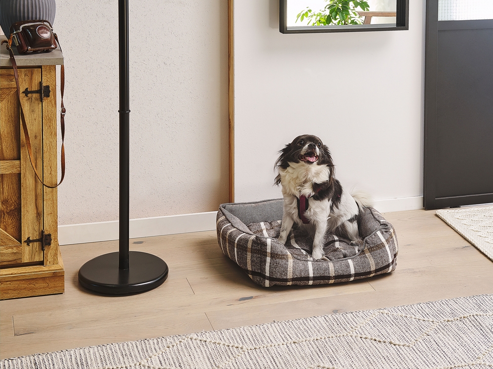 50 inch dog bed cheap