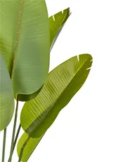 Sztuczna roślina BANANA TREE 187 cm Zielony_917271