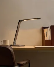 LED Desk Lamp PICTOR with Dimmer Dark Grey_1018713