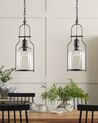 Metal Pendant Lamp Black BASHILO_818217