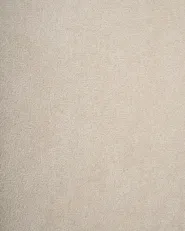 Desk Chair BARDSDALE Velvet Light Beige_1010315