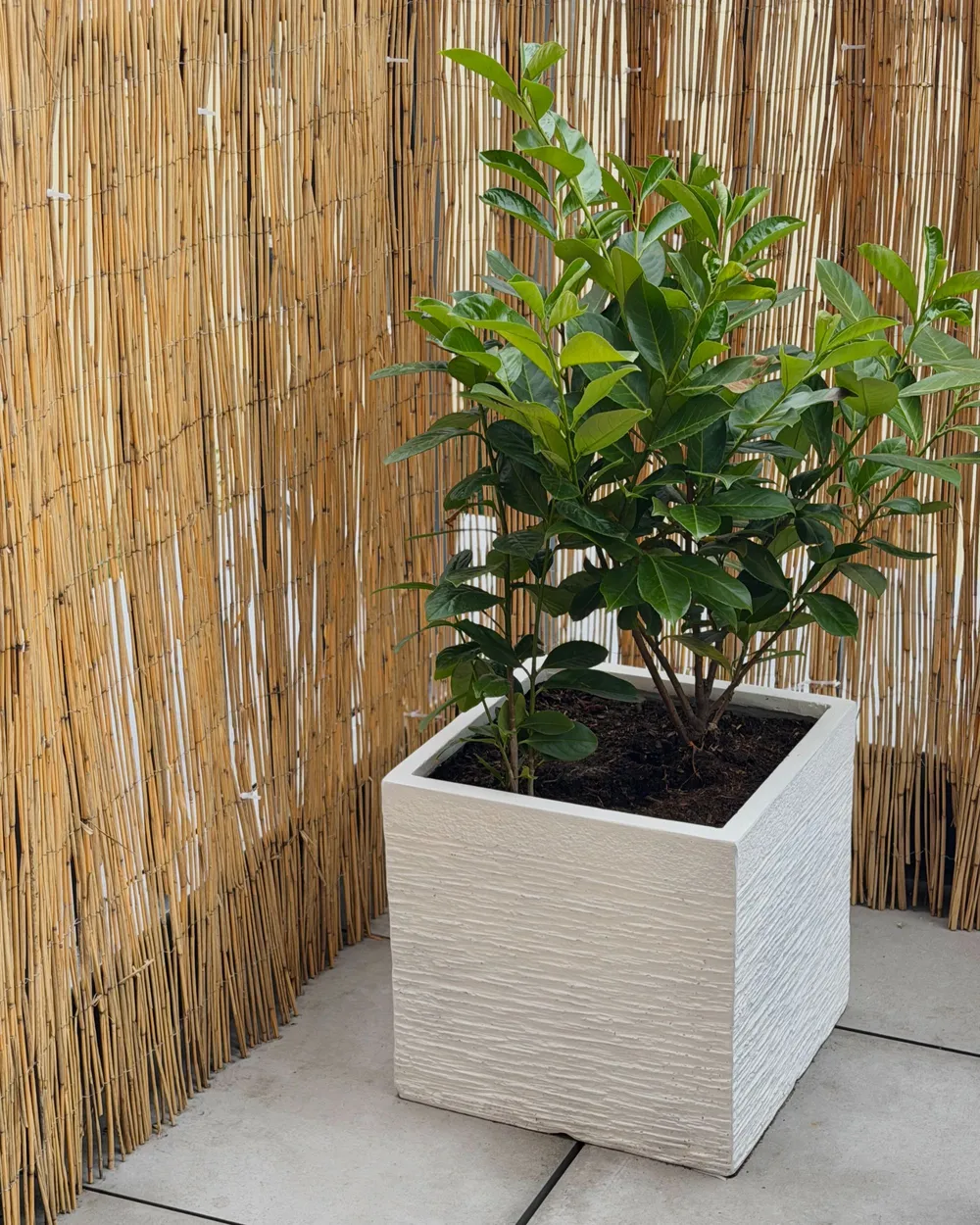 Donica PAROS 40 cm Biały_1085667