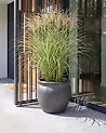 Plant Pot MACEDON 45 cm Dark Green
