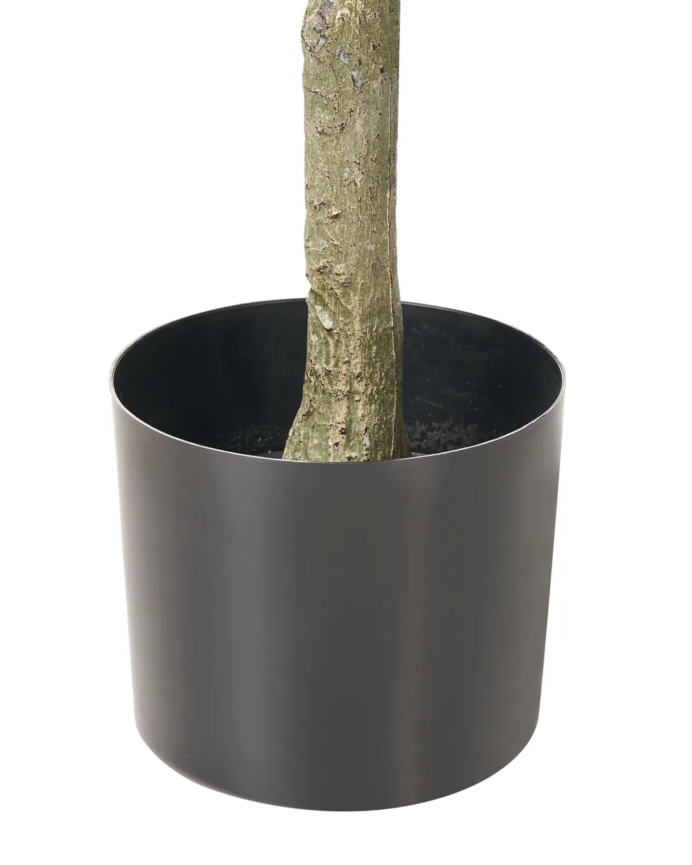Pianta artificiale FICUS TREE 160 cm Verde_1028507