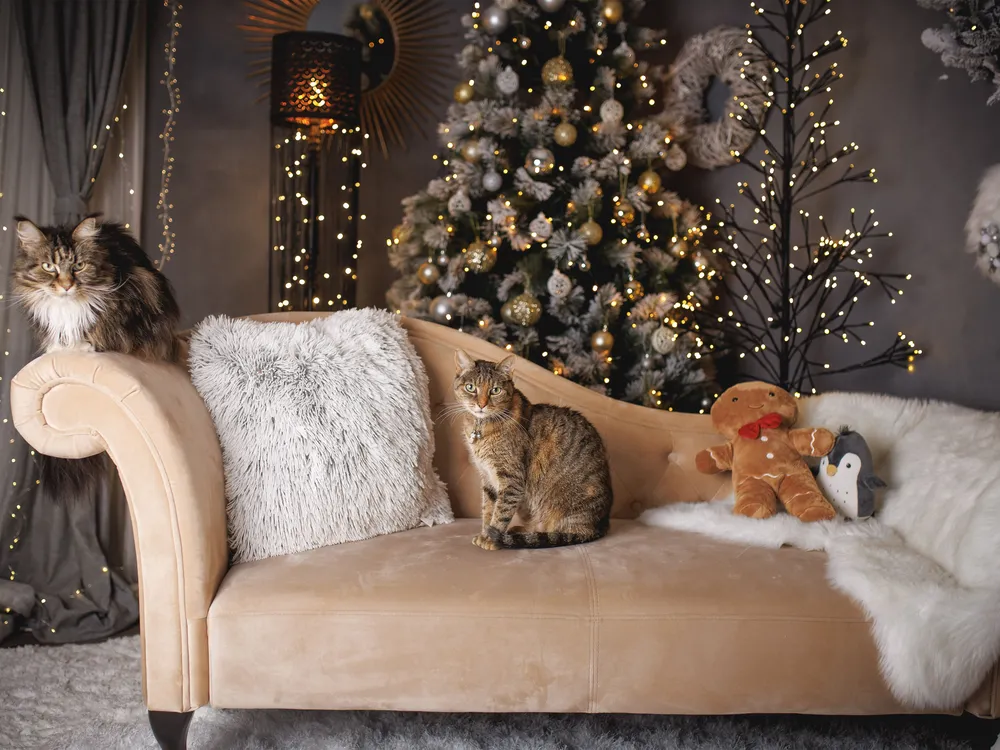 Right-Hand Chaise Longue LATTES Velvet Beige_899278