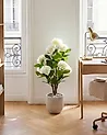 Artificial Plant HORTENSIUM 90 cm White