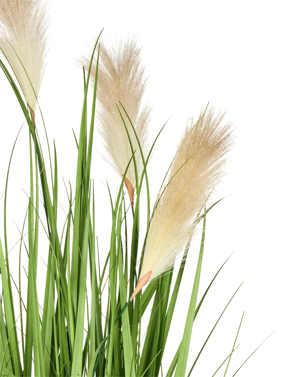 Artificial Plant PAMPAS GRASS 130 cm Green_995295