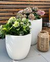 Plant Pot 55 x 55 x 53 cm Off-White KANNIA_879555