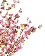 Sztuczna roślina CHERRY TREE 152 cm Różowy_994964