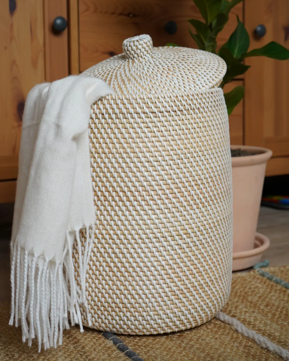20 Tiges De Bambou Naturel 120cm - Kingfisher - Pour Soutenir Plantes Potagères Et Filets De Jardin