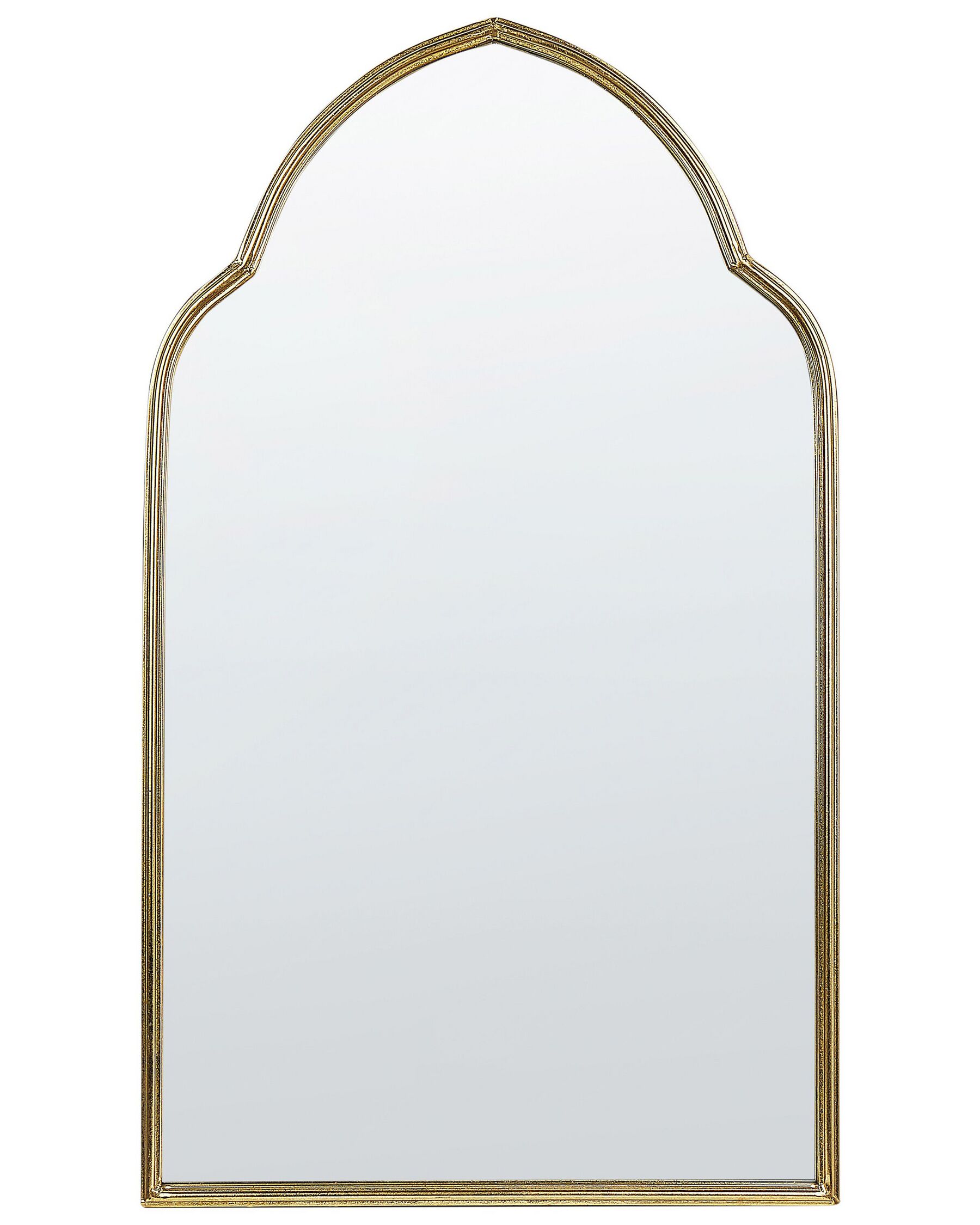 Metal Wall Mirror 54 x 100 cm Gold ACONCHI _848431
