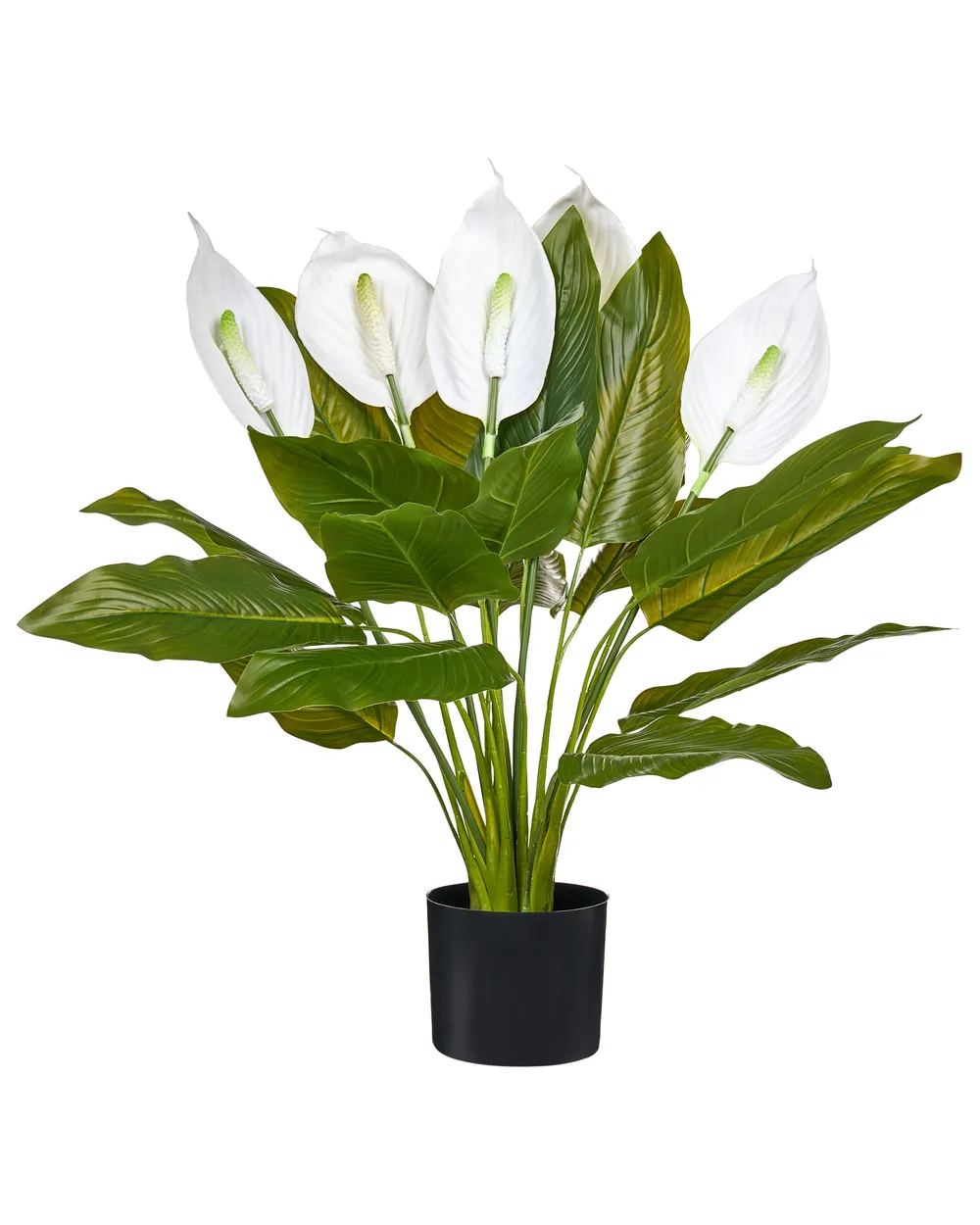 Sztuczna roślina SPATHPHYLLUM 70 cm Zielony